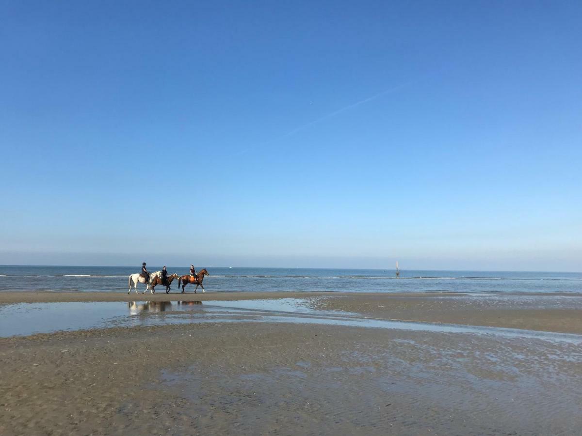 Appartamento Koksijde Zeedijk Res Manh Esterno foto